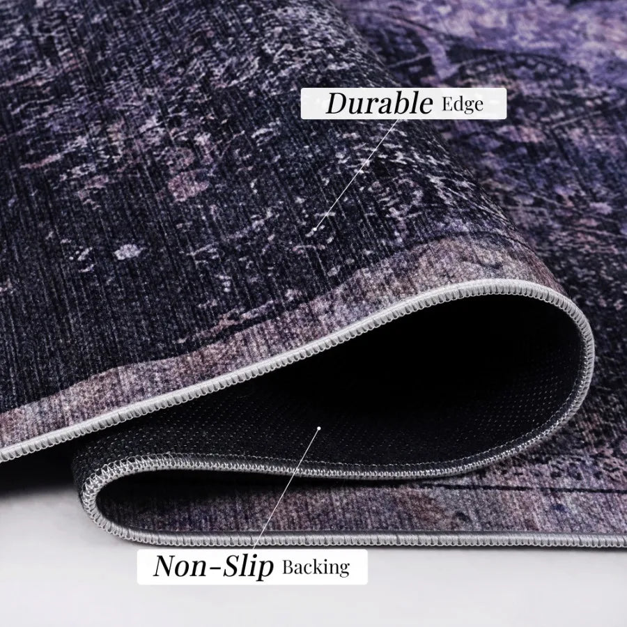 Naar 2x3 Machine Washable Area Rugs LowPile NonSlip NonShedding Foldable Kid Pet Friendly Area Rugs for living room bedroom kit