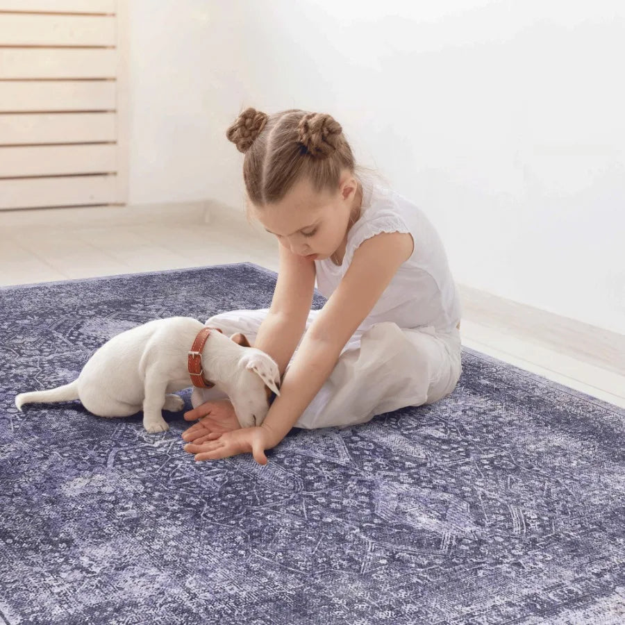 Naar 2x3 Machine Washable Area Rugs LowPile NonSlip NonShedding Foldable Kid Pet Friendly Area Rugs for living room bedroom kit