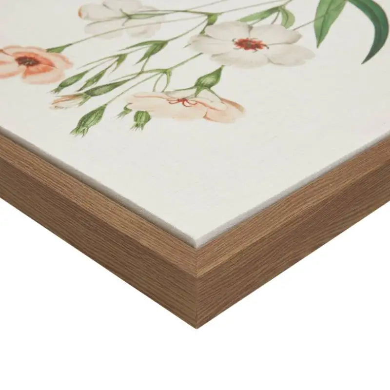Herbal Botany Botanical Illustration Framed Canvas Art Set