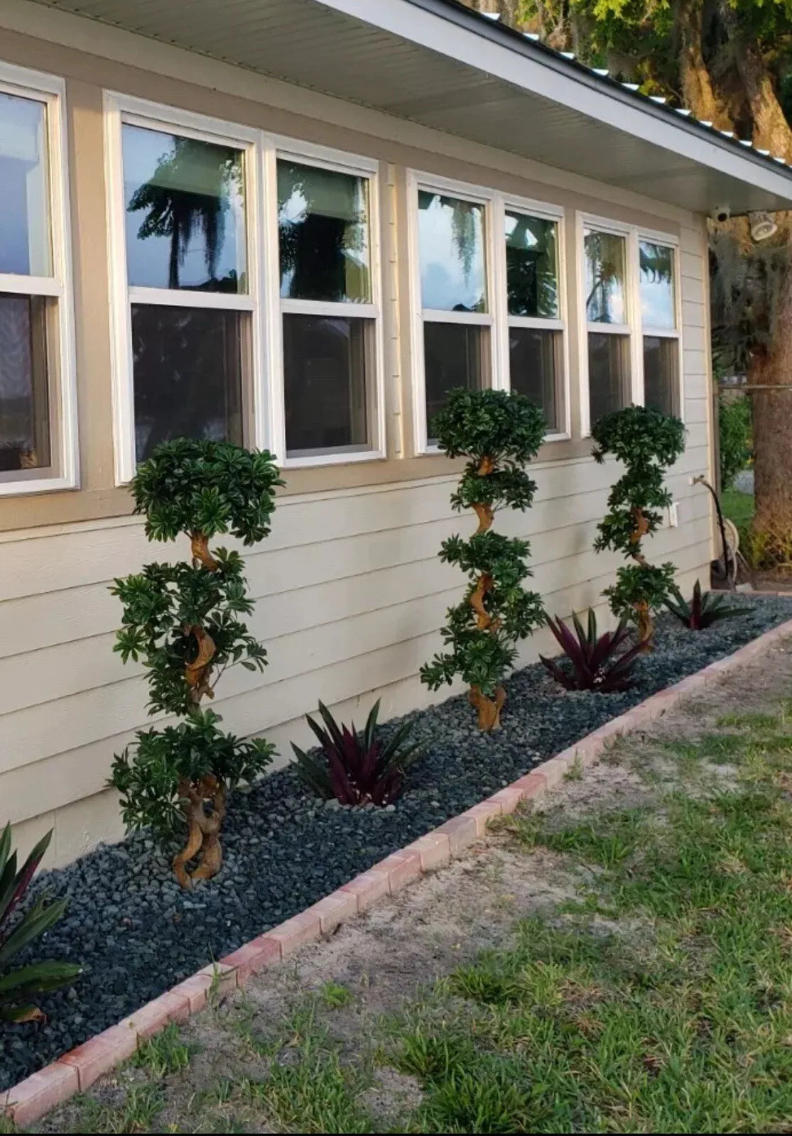 5’ Artificial Pittispourm Tree UV (Indoor/Outdoor) Home Decor.