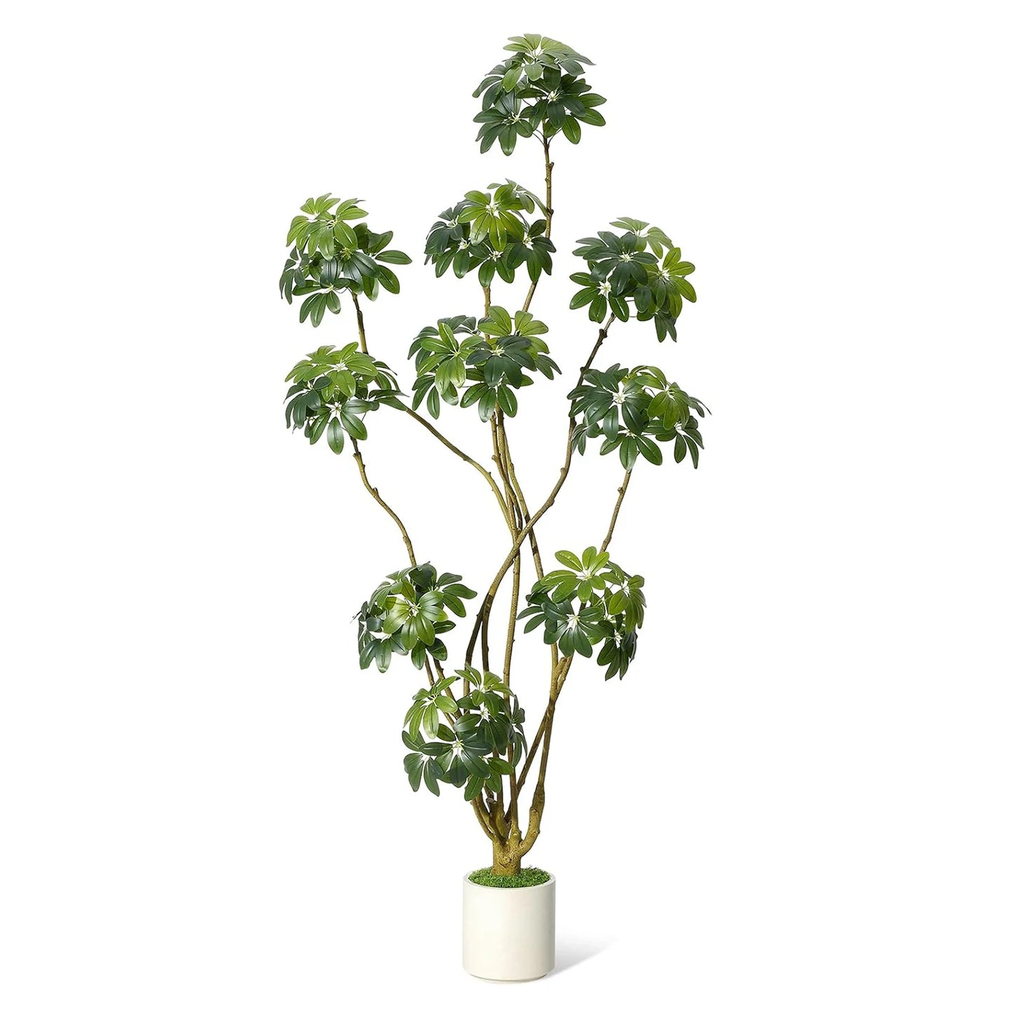 5/6/7ft Tall Fake Umbrella Schefflera Tree in White Pot ,Artificial Umbrella Tree Fake Plants for Home Garden Office Decor