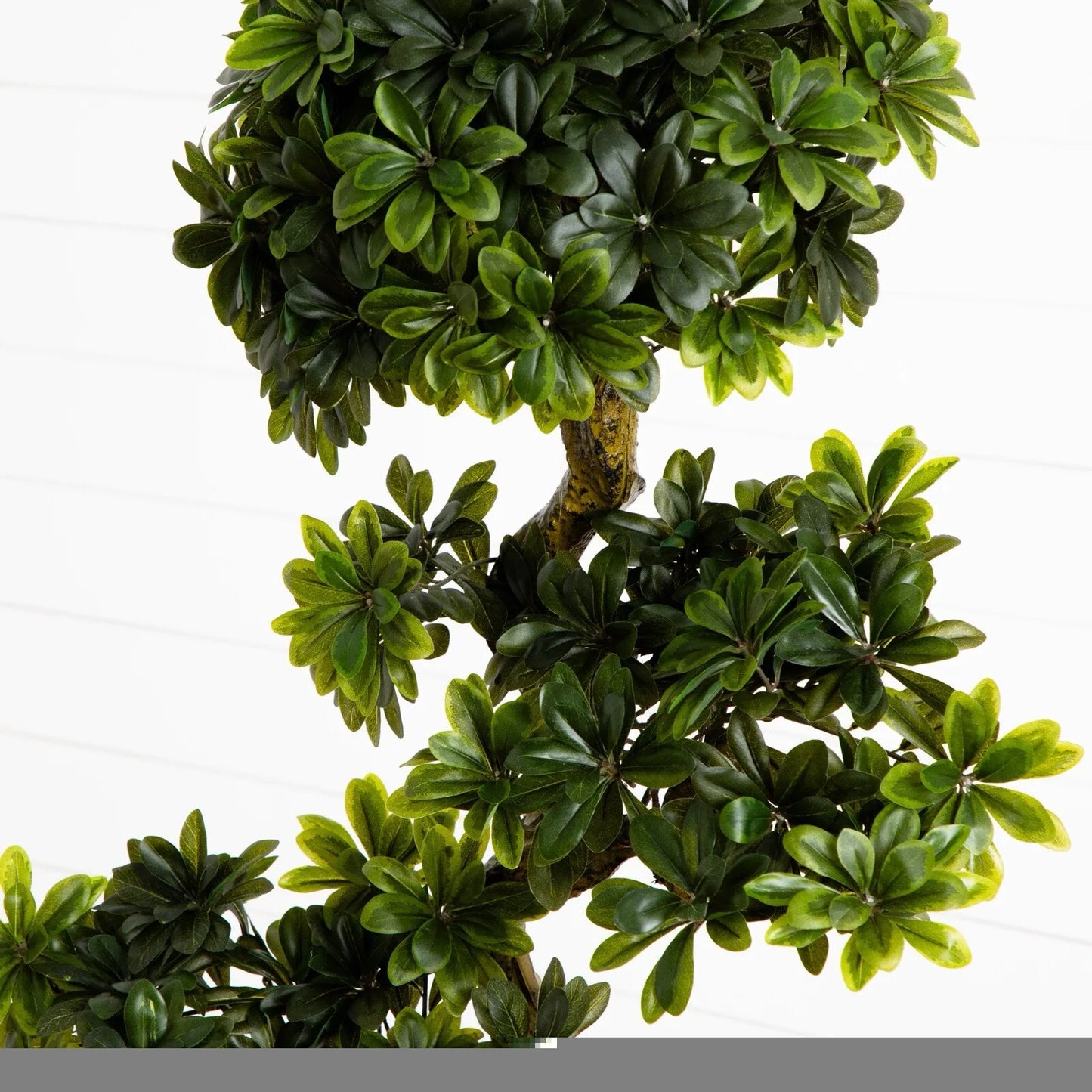 5’ Artificial Pittispourm Tree UV (Indoor/Outdoor) Home Decor.