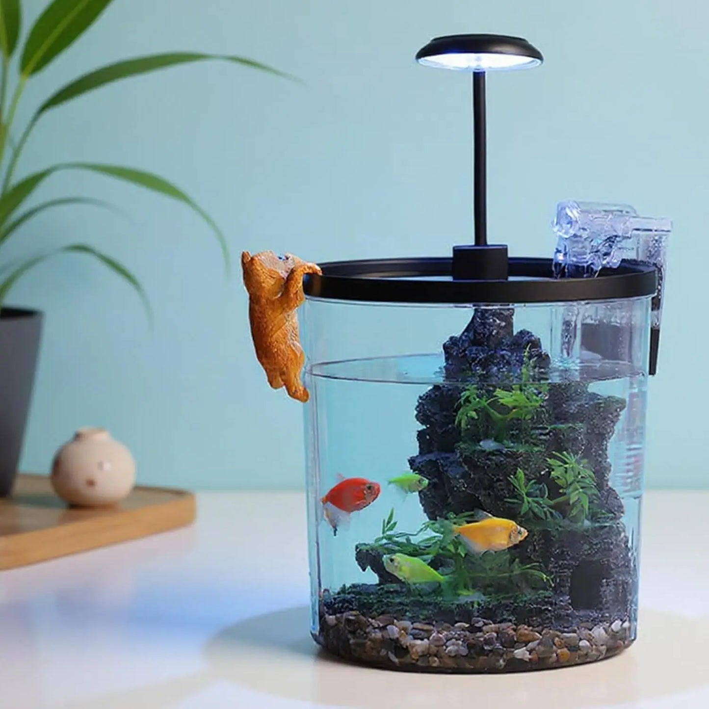 1.5 Gal Betta Fish Tank Starter Kit With Quiet Filter LED Light Oxygen Generator Acrylic HD View For Beginners Goldfish Guppies
