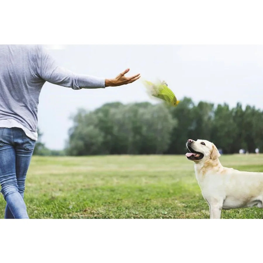 Pet Squeaky Toy Dog Toys Bite Resistant Plush Parrot Shaped Dog Rope Toys Chew Toy with Sound