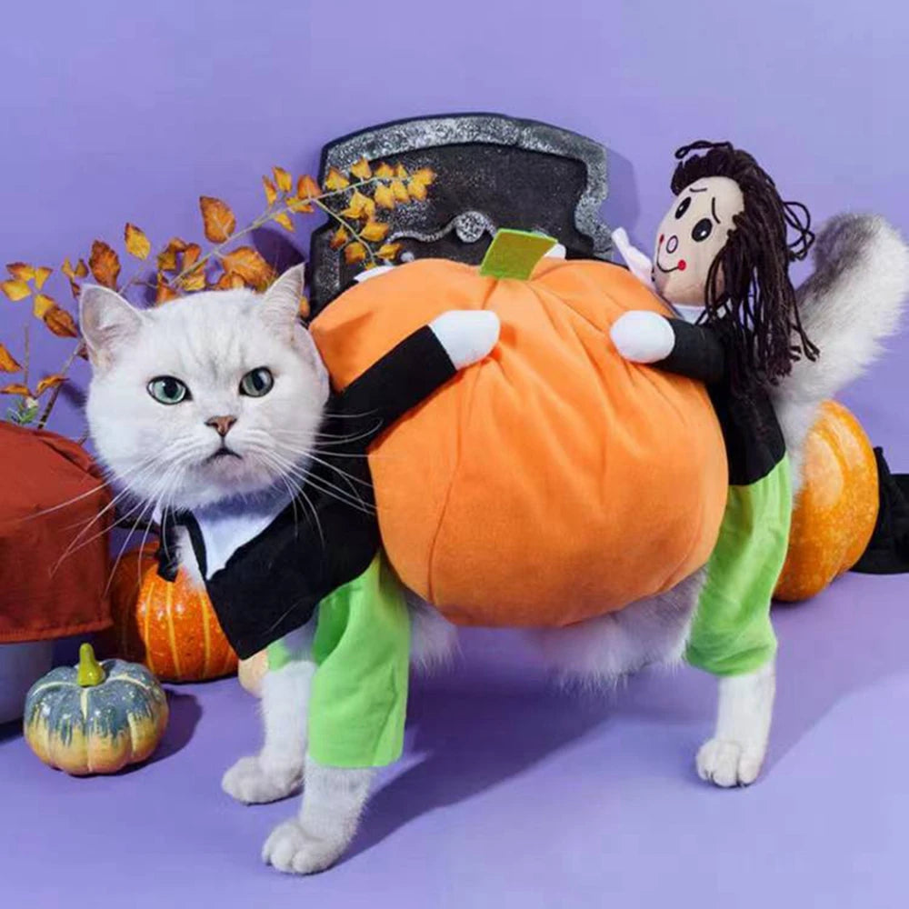 Funny Pet Cosplay Costume Small Medium Dog Leotard Coat Halloween Christmas Clothing Cat Pumpkin Transfiguring Dog Cute