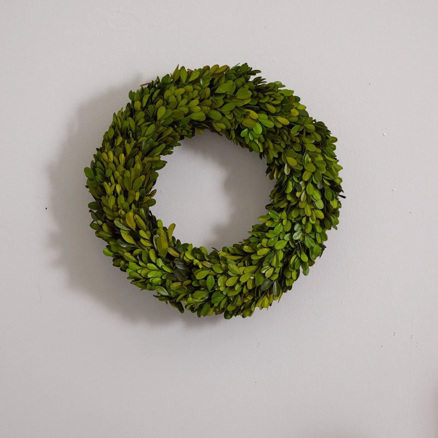 14" Preserved Real Boxwood Wreath Home Door Decor.