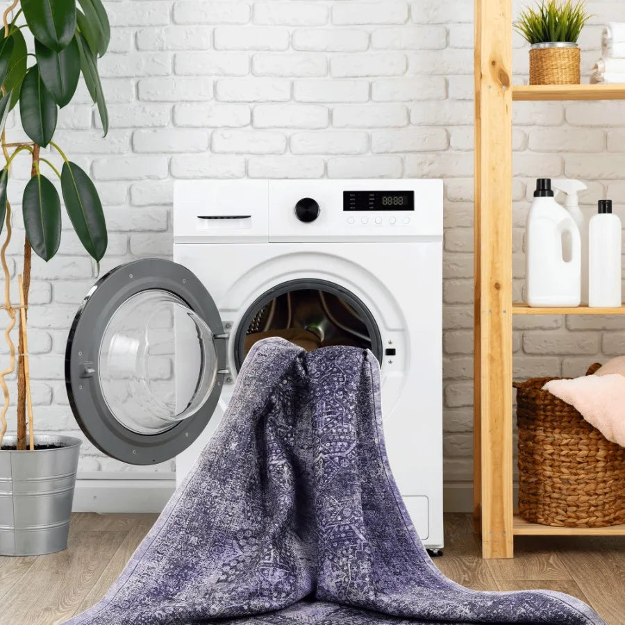 Naar 2x3 Machine Washable Area Rugs LowPile NonSlip NonShedding Foldable Kid Pet Friendly Area Rugs for living room bedroom kit