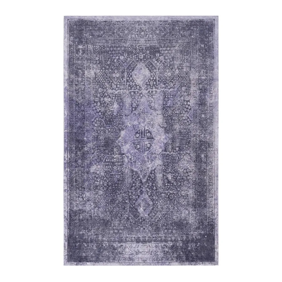 Naar 2x3 Machine Washable Area Rugs LowPile NonSlip NonShedding Foldable Kid Pet Friendly Area Rugs for living room bedroom kit