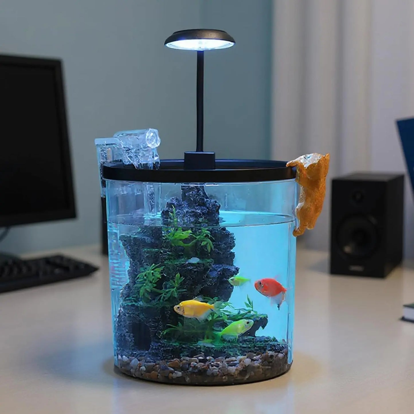 1.5 Gal Betta Fish Tank Starter Kit With Quiet Filter LED Light Oxygen Generator Acrylic HD View For Beginners Goldfish Guppies