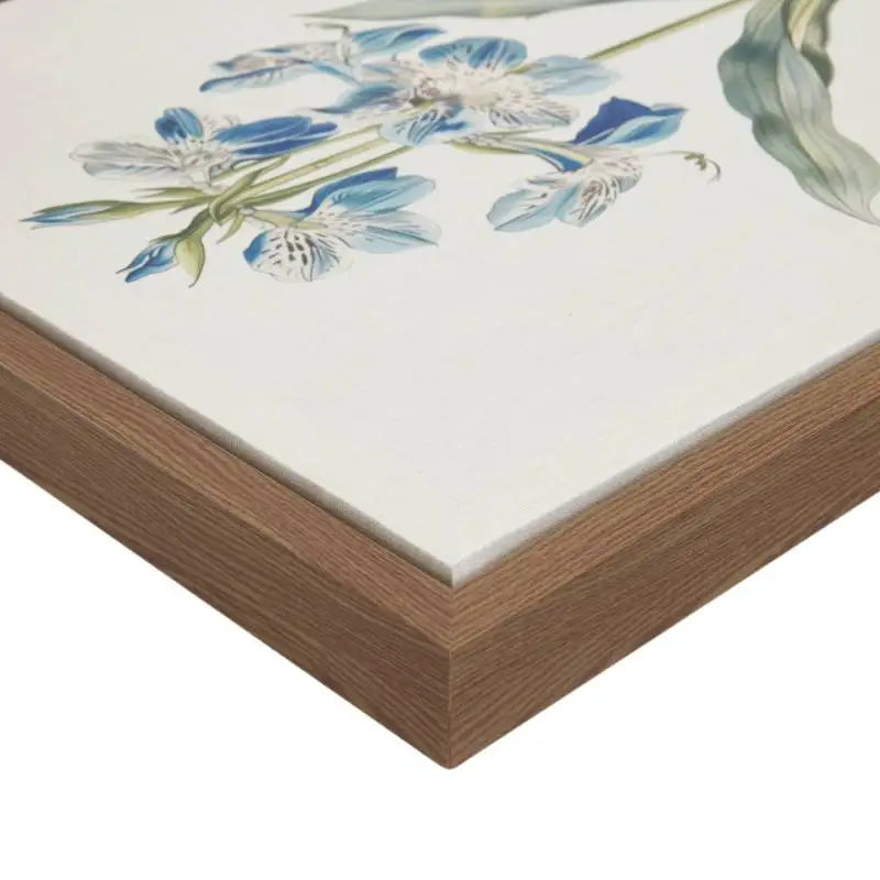 Herbal Botany Botanical Illustration Framed Canvas Art Set