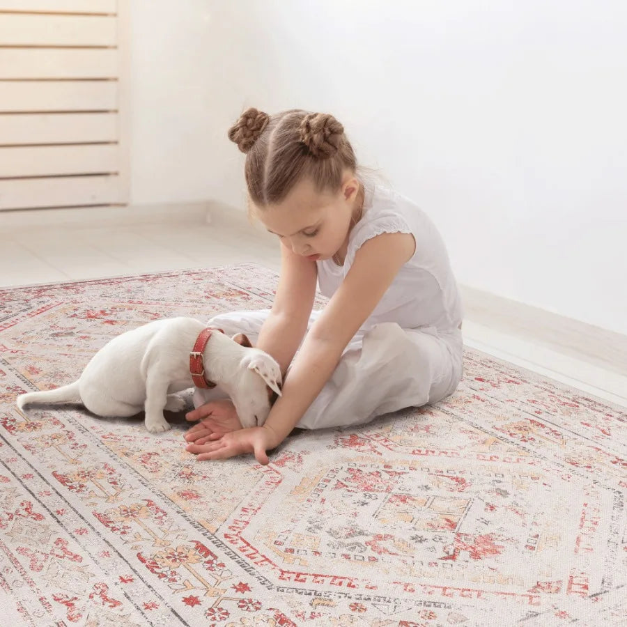 Naar 2x3 Beige Area Rug Machine Washable Area Rugs LowPile NonSlip NonShedding Foldable Kid Pet Friendly Area Rugs for living r