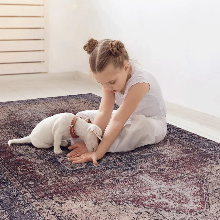 Naar 2x3 Washable Area Rugs LowPile NonSlip NonShedding Foldable Kid Pet Friendly Area Rugs for living room bedroom kitchen din