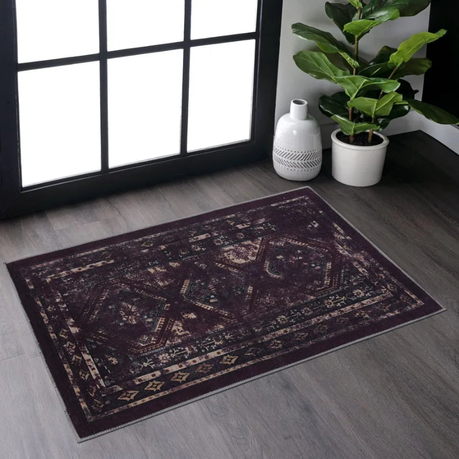 Naar 2x3 Machine Washable Area Rugs LowPile NonSlip NonShedding Foldable Kid Pet Friendly Area Rugs for living room bedroom kit