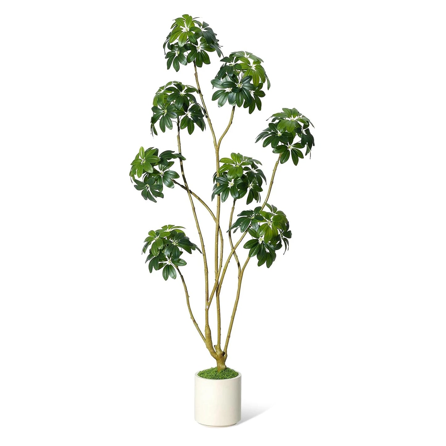 5/6/7ft Tall Fake Umbrella Schefflera Tree in White Pot ,Artificial Umbrella Tree Fake Plants for Home Garden Office Decor