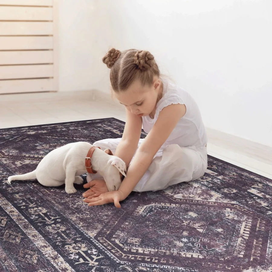 Naar 2x3 Machine Washable Area Rugs LowPile NonSlip NonShedding Foldable Kid Pet Friendly Area Rugs for living room bedroom kit