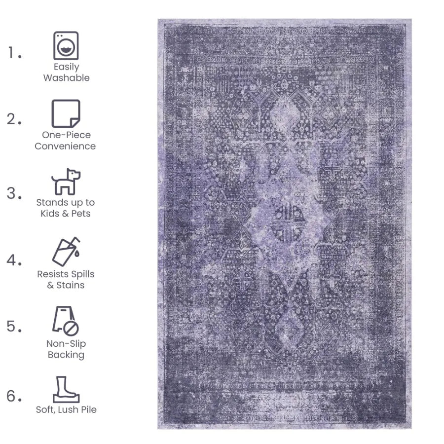 Naar 2x3 Machine Washable Area Rugs LowPile NonSlip NonShedding Foldable Kid Pet Friendly Area Rugs for living room bedroom kit