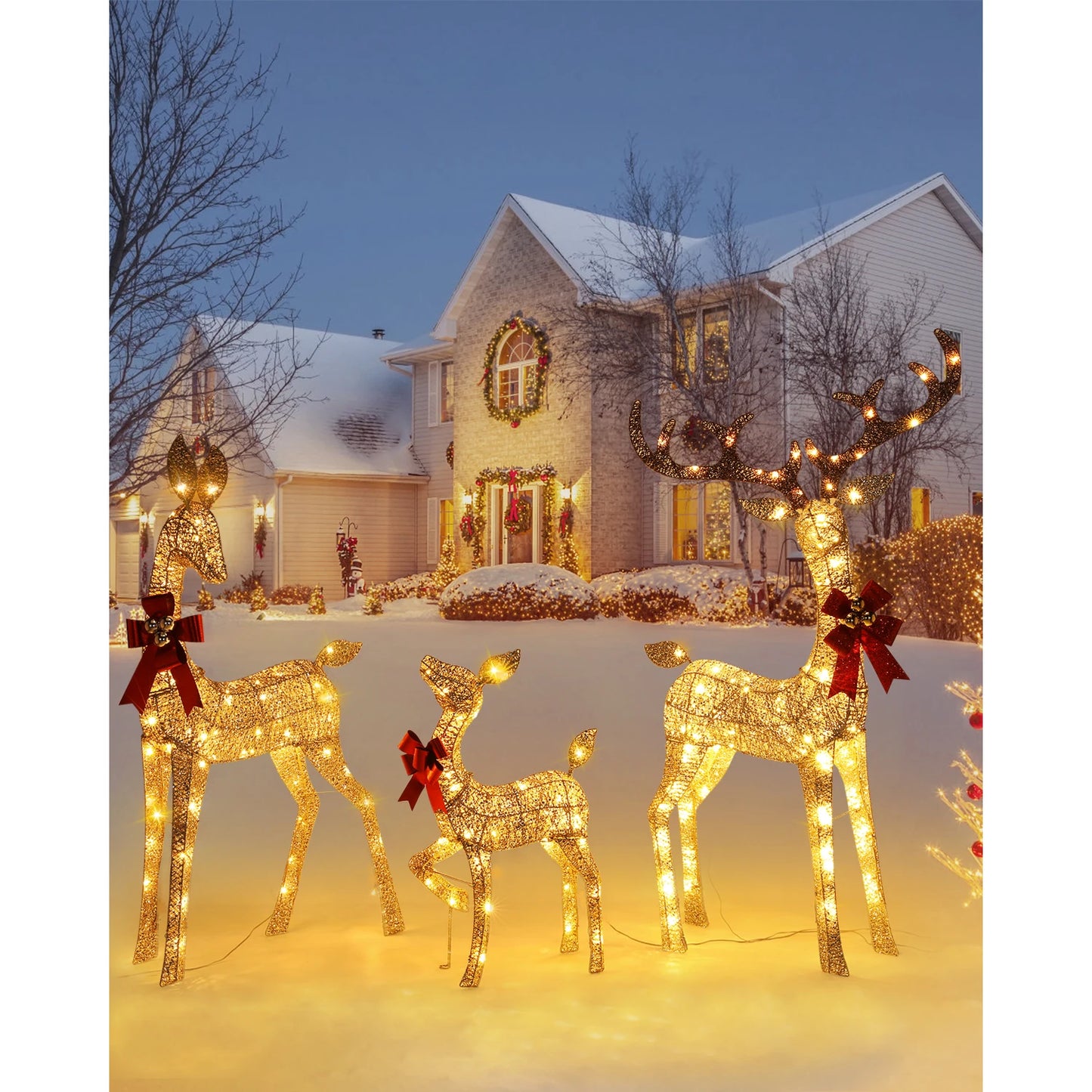 Indoor Outdoor Lighted Christmas Deer Family Set LED Lights