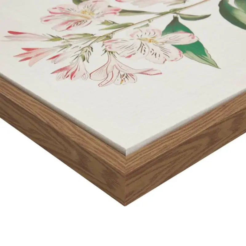 Herbal Botany Botanical Illustration Framed Canvas Art Set