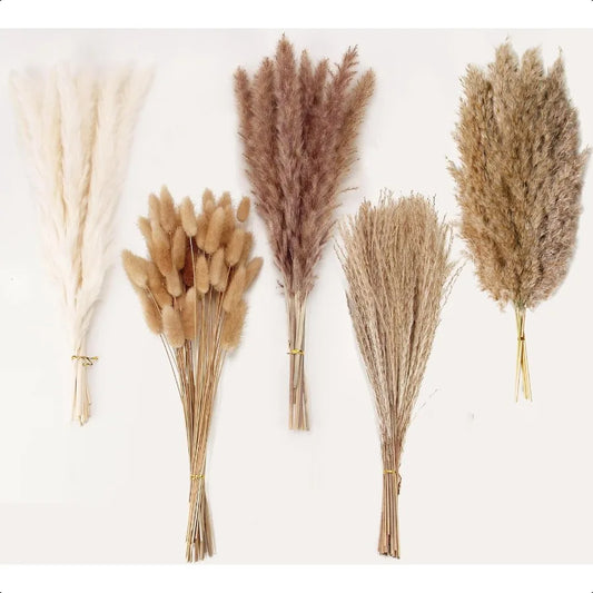 Natural Dried Pampas Grass Decor 110 PCS Pampas Grass Contains White Bunny Tails Dried Flowers Artificial Flowers for Bathroom