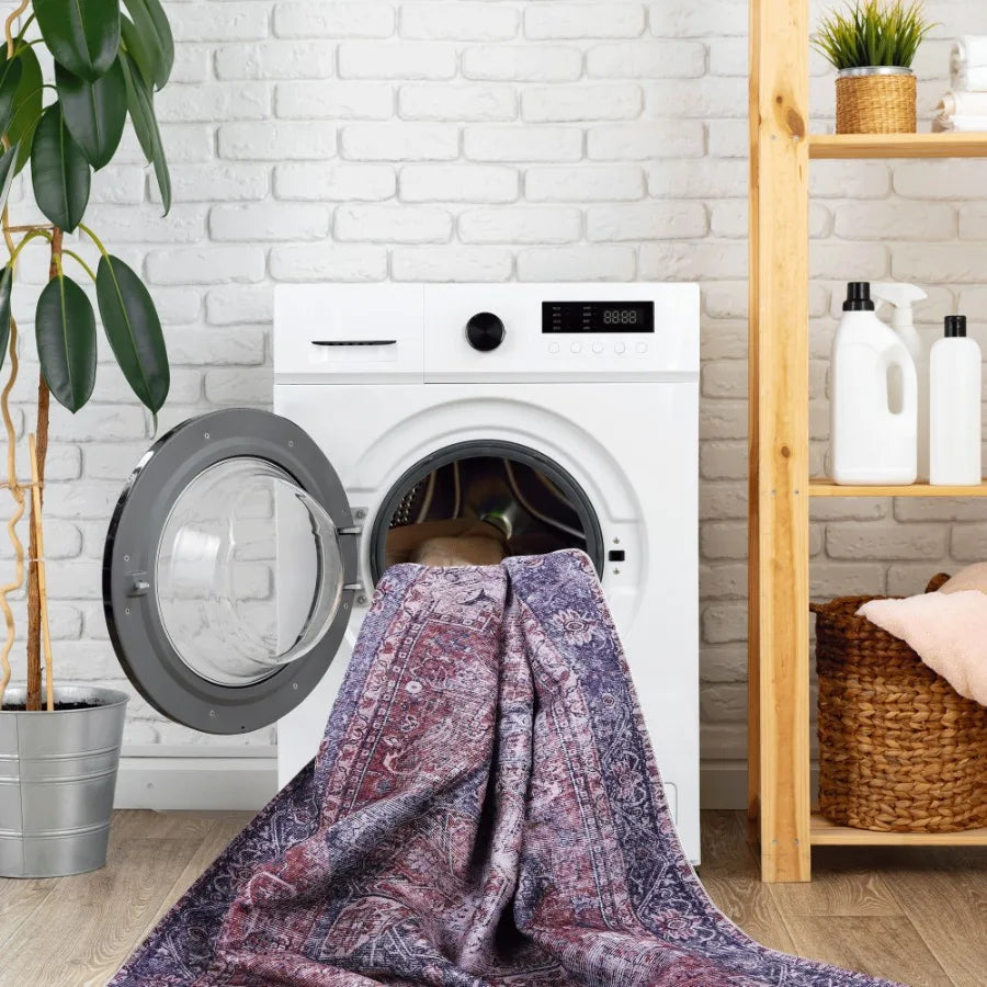 Naar 2x3 Washable Area Rugs LowPile NonSlip NonShedding Foldable Kid Pet Friendly Area Rugs for living room bedroom kitchen din