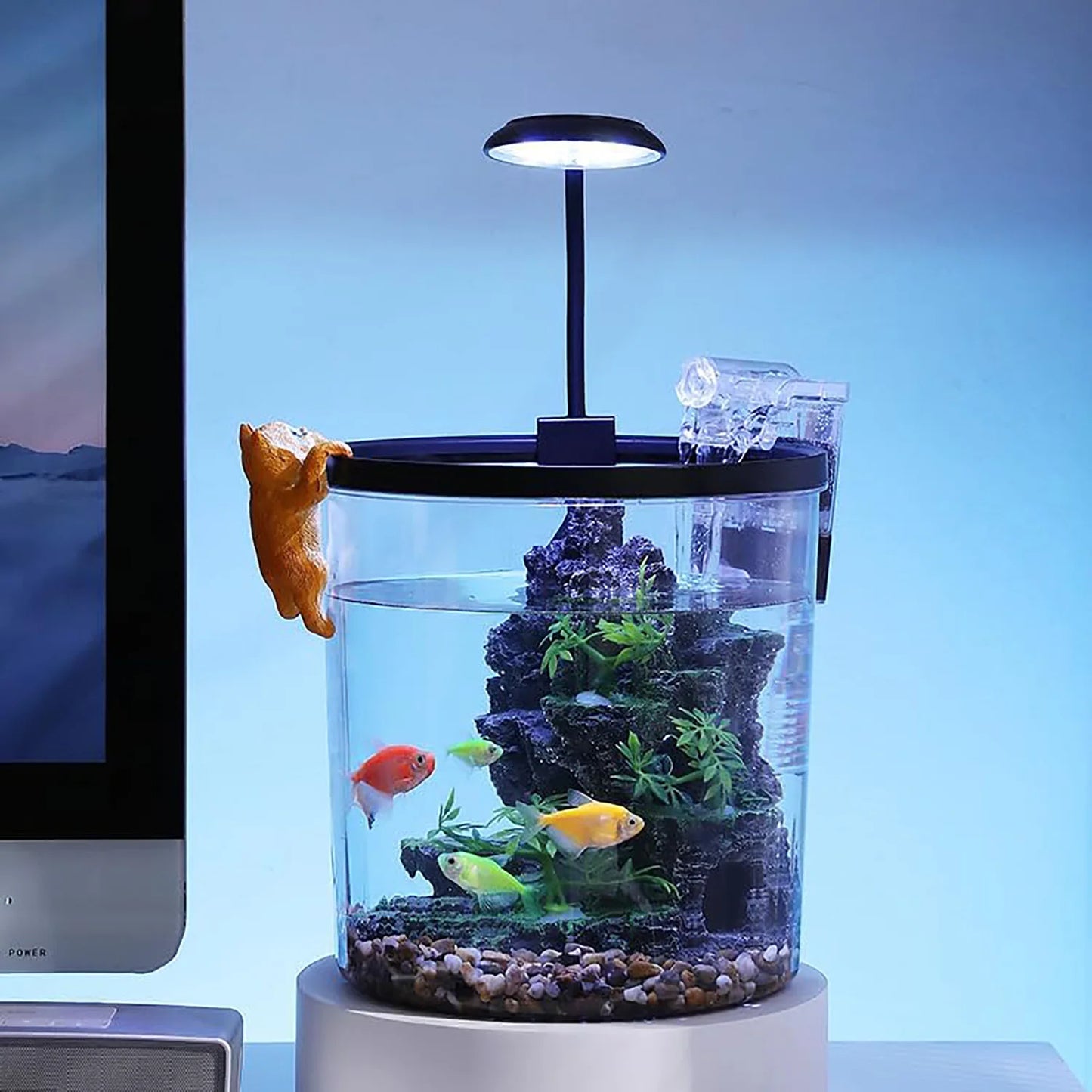 1.5 Gal Betta Fish Tank Starter Kit With Quiet Filter LED Light Oxygen Generator Acrylic HD View For Beginners Goldfish Guppies