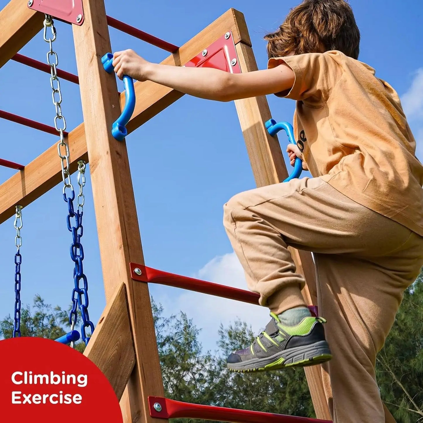 Dolphin Cedar Playground Swing Set With The Monkey Bar