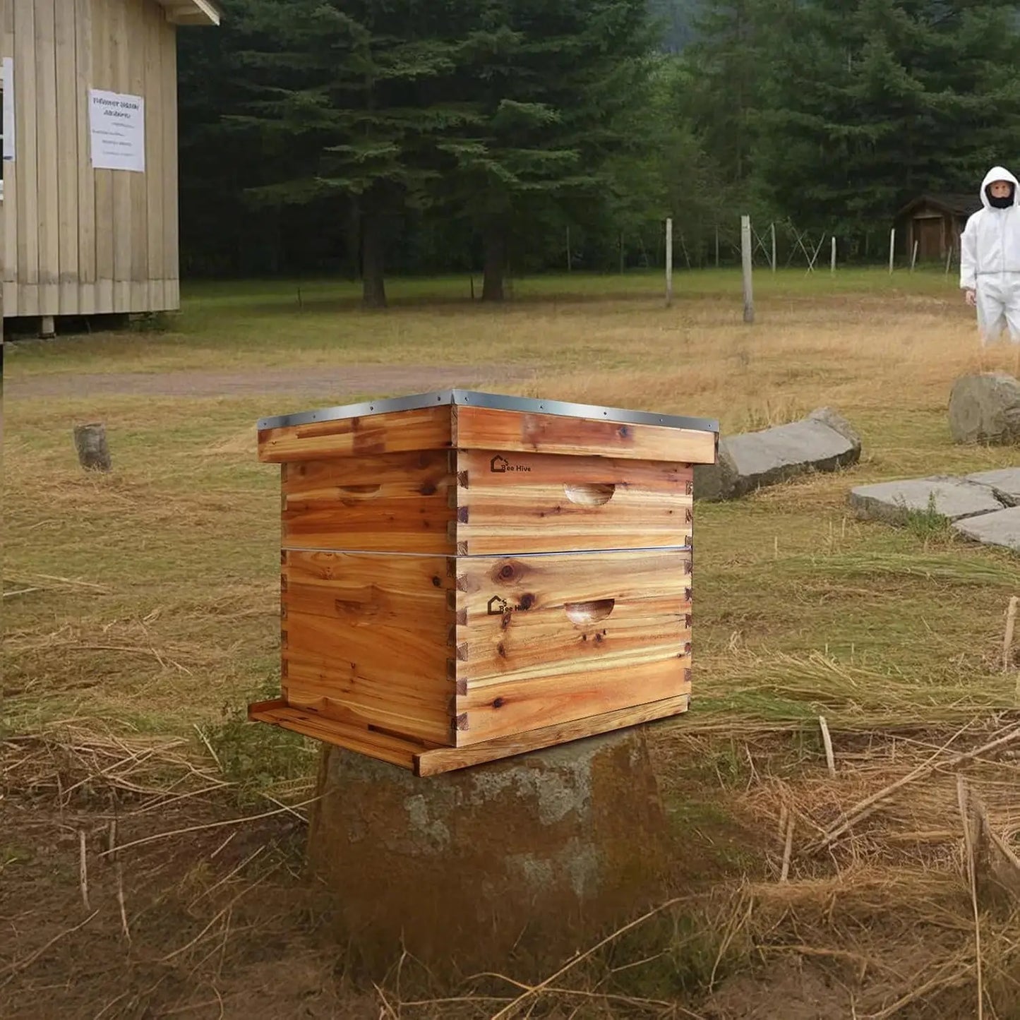 10-Frame Beehive Starter Kit Wax-Coated with 1 Deep Brood Box & 1 Medium Super Bee Box for Beekeeper Beekeeping Supplies