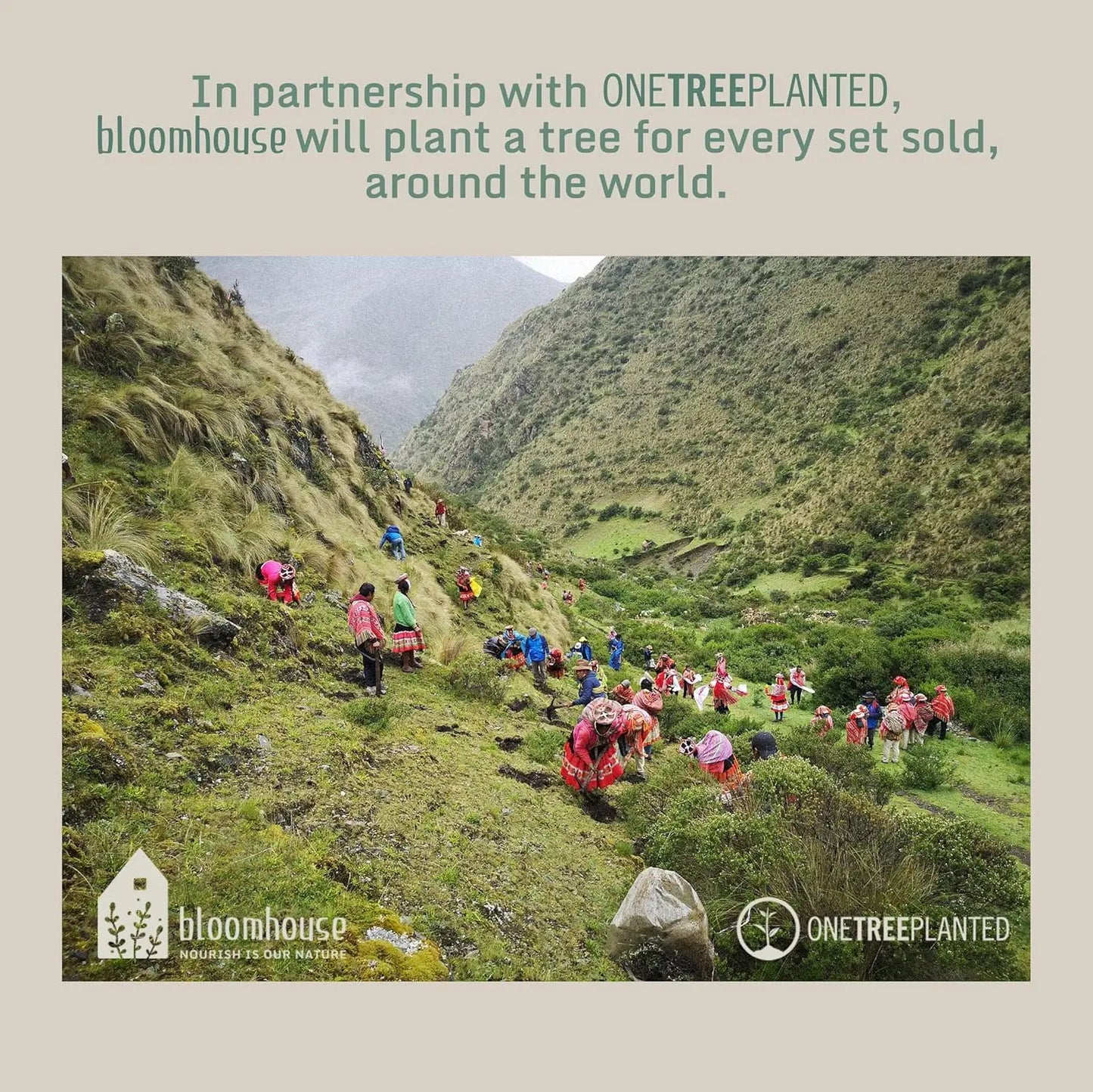 LIEI Oprah Magnolia Bloom Stoneware Dinnerware Set Floral