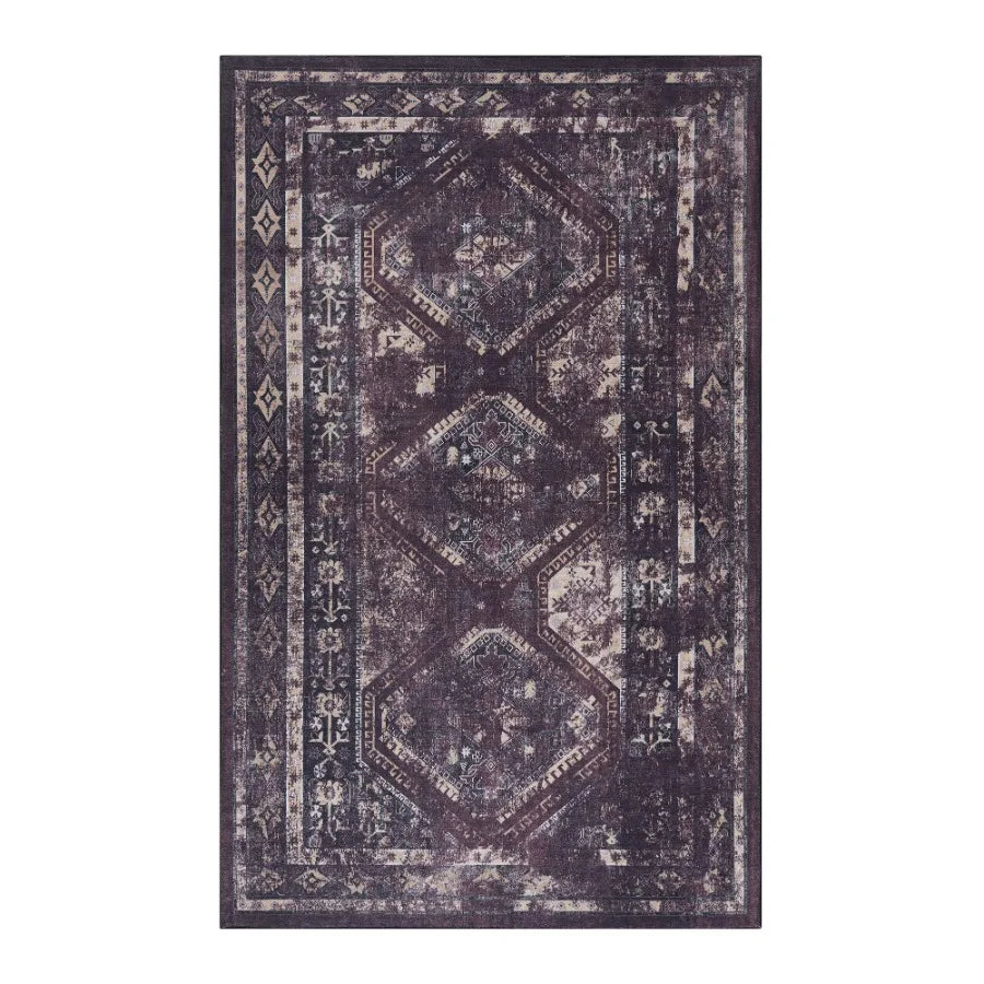 Naar 2x3 Machine Washable Area Rugs LowPile NonSlip NonShedding Foldable Kid Pet Friendly Area Rugs for living room bedroom kit