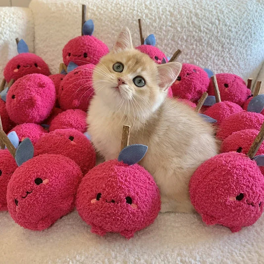 Plush Cat Toy Silvervine Cat Grinding Toys Funny Interactive Pet Kitten Chewing Toy Bite Self-Healing Toy for Cats Teeth Toys