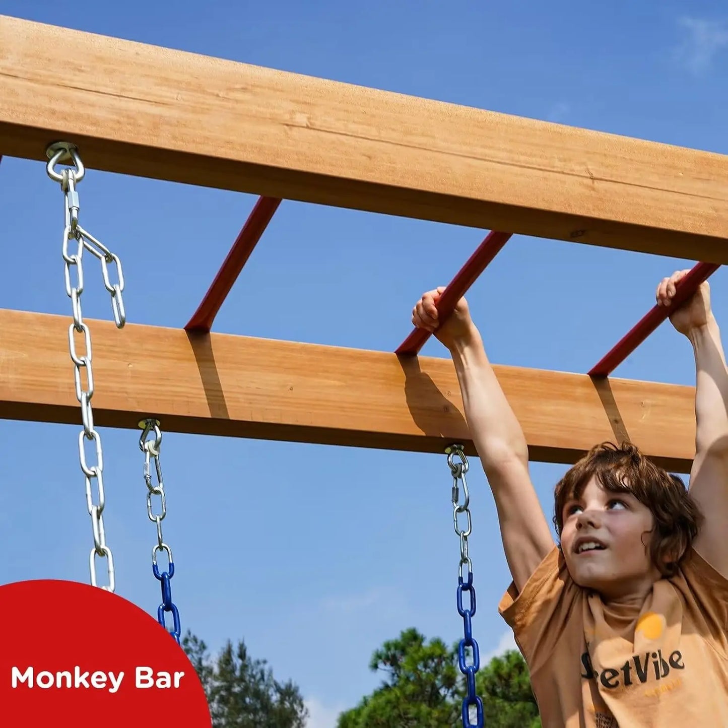 Dolphin Cedar Playground Swing Set With The Monkey Bar