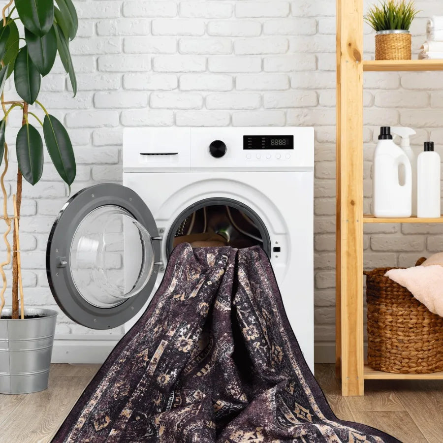Naar 2x3 Machine Washable Area Rugs LowPile NonSlip NonShedding Foldable Kid Pet Friendly Area Rugs for living room bedroom kit