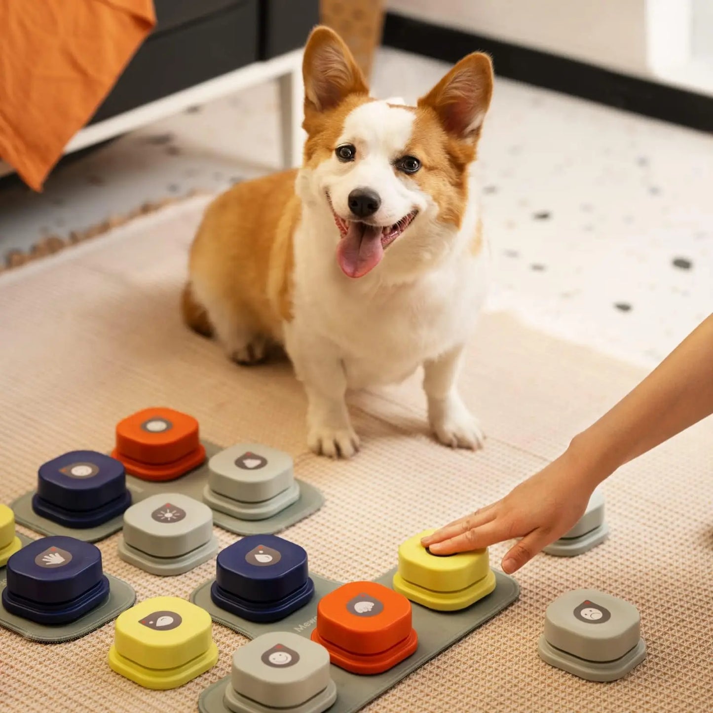 MewooFun Dog Button Record Toy For Talking Pet Training
