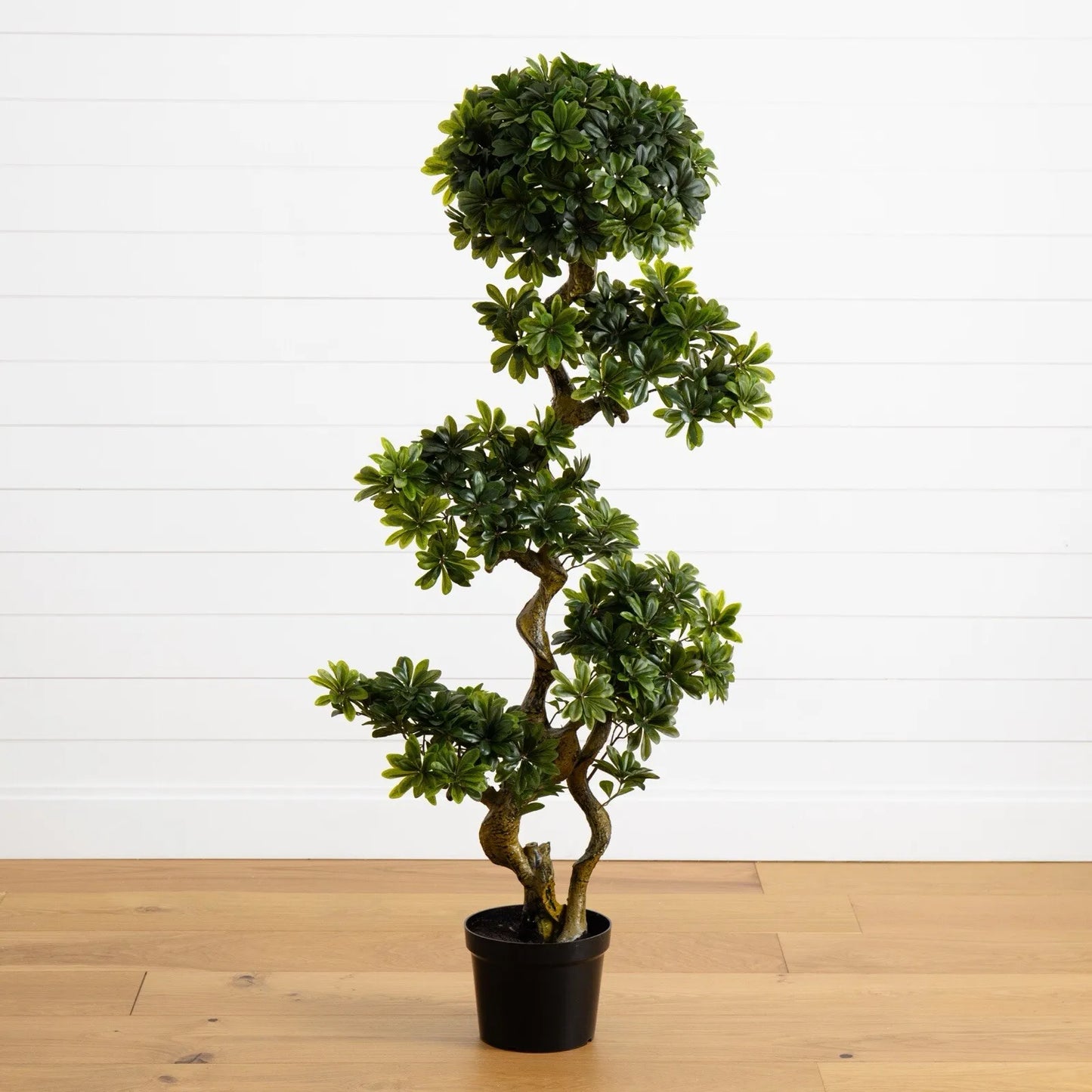 5’ Artificial Pittispourm Tree UV (Indoor/Outdoor) Home Decor.
