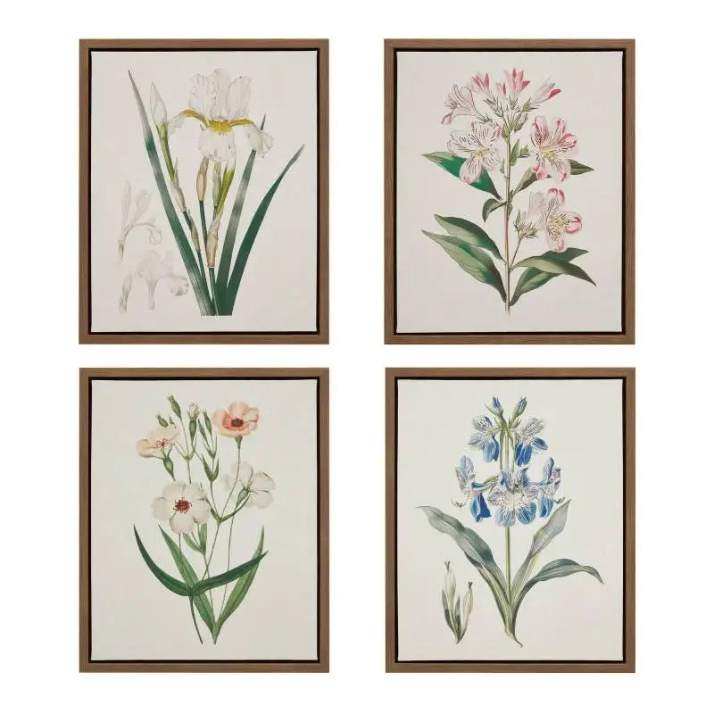 Herbal Botany Botanical Illustration Framed Canvas Art Set